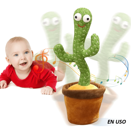 Cactus Bailarín - Imagen 5